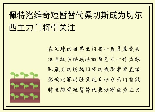 佩特洛维奇短暂替代桑切斯成为切尔西主力门将引关注
